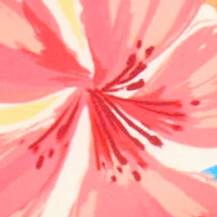Thumbnail 23